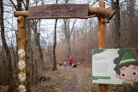 Obokan “vhod” na Jakobovo gozdno učno pot prijazno vabi k novim dogodivščinam. 