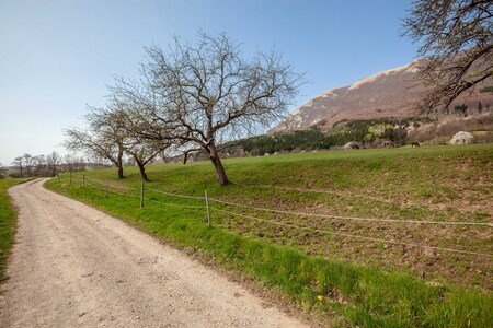 Besedilo in fotografija: Tjaša Blaško in Matej Škrlj