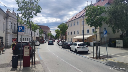 TRŽAŠKA CESTA