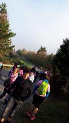IMG-cc38146b4f736c4daa6a54da64261d49-V