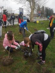 IMG_20190406_100639(2)