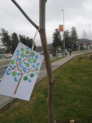 IMG_20190406_104919(2)