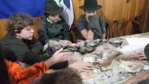 20190908_095724_resized