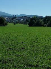 IMG_20190913_105337