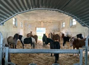 IMG-83337b5b859461a3ea0eb52330f34bbb-V~2