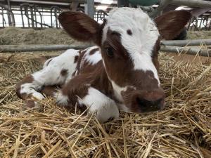 IMG-7495543a990a16ca426c1af74748cf21-V