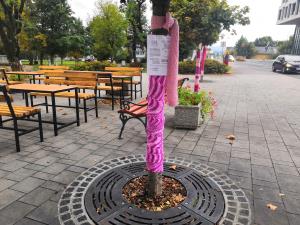 IMG_20201002_081851