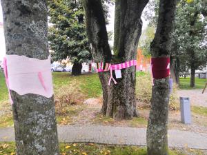 IMG_20201002_081949