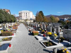 IMG-c848ea03e4e506d1cad29594a1dd6ece-V