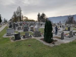 IMG-de219dcd1699ae78566c3ea2e43c31a6-V