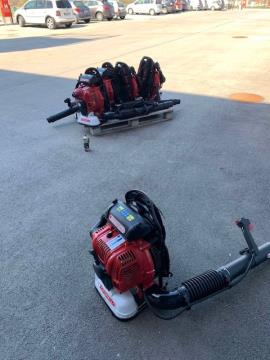 Image-5
