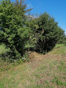 IMG_20210824_100239