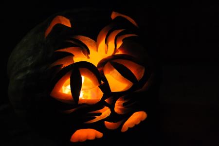 IMG_3401