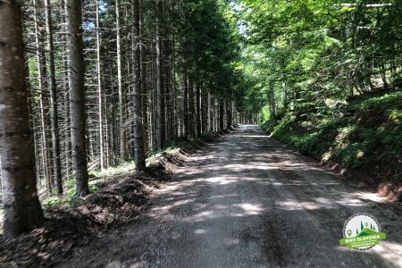 na_masun_na_pasto_natasa_kocjancic_bikeslovenia_1522