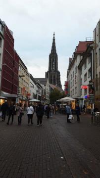 IMG-20221014-WA0004