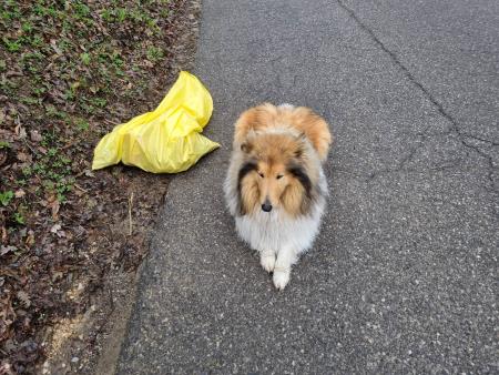 received_109198745483269