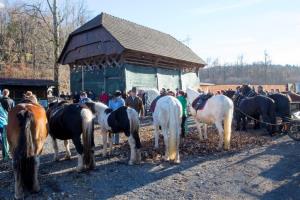 Dan samostojnosti v Pudguri