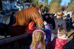 Dan samostojnosti v Pudguri