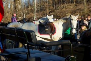 Dan samostojnosti v Pudguri