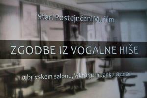 Zelena vogalna hiša tudi na filmskem platnu