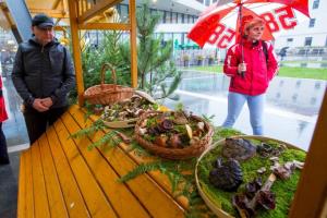 Dobro jutro Postojna