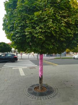 IMG_20231005_164659