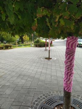 IMG_20231005_164713