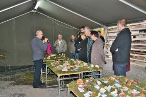 Gobarska razstava in Jesen u Pudguri