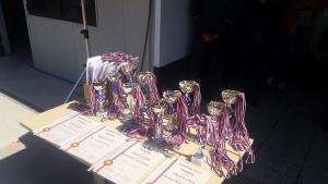 Tekmovanje Gasilske zveze Postojna