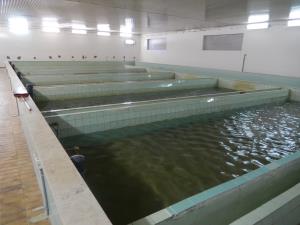 Izjemni posegi v našem prostoru, ki nam bodo zagotovili boljšo vodooskrbo s pitno vodo