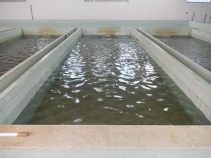 Izjemni posegi v našem prostoru, ki nam bodo zagotovili boljšo vodooskrbo s pitno vodo