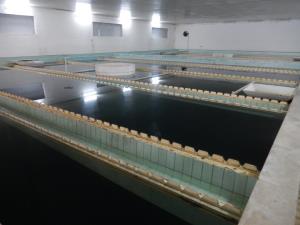 Izjemni posegi v našem prostoru, ki nam bodo zagotovili boljšo vodooskrbo s pitno vodo