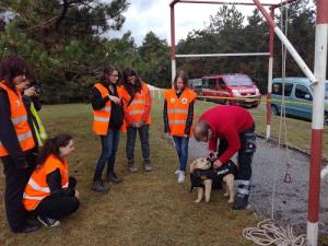 Sodelovanje z vojašnico Pivka