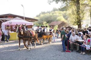 TD Pudgura je izvedla 15. tradicionalno prireditev Gozdar – kmet nekoč in danes