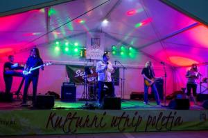 Pravi rock’n’roll z repertoarjem Elvisa Presleya na Kulturnem utripu v Postojni