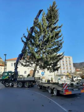 received_303369689268673