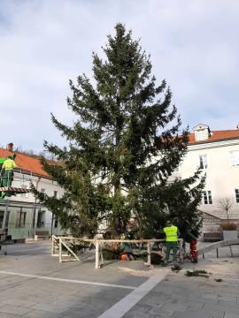 received_702132152086179