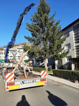 received_798222795397121