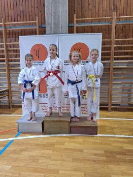 IMG-3ac1d410d64a375b26677a5c5bbcfc31-V