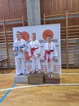 IMG-3b665b086ed4793aa78fe54645cb60be-V