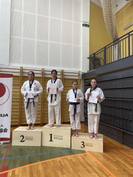 IMG-40204292ceb72b537dd9cf367541e156-V