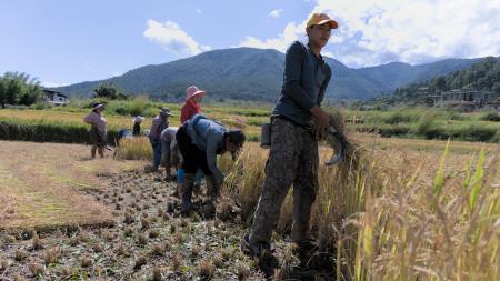Temni_pokrov_sveta_Butan_foto_Amir_Muratovic