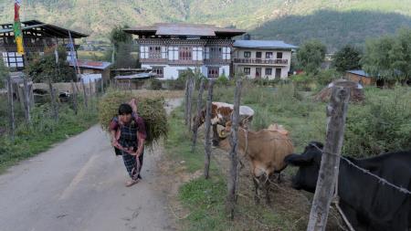 Temni_pokrov_sveta_v_Butanu_foto_Amir_Muratovic