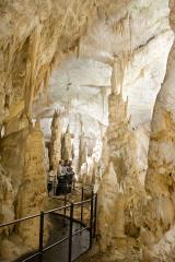 Postojnska jama