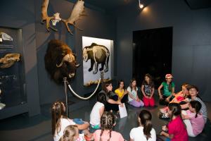 Notranjski muzej Postojna