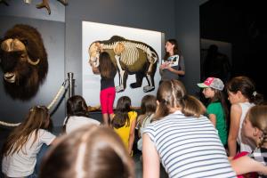 Notranjski muzej Postojna