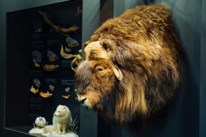 Notranjski muzej Postojna