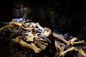 Notranjski muzej Postojna