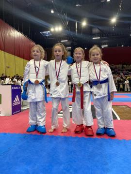 Shotokan karate klub Postojna