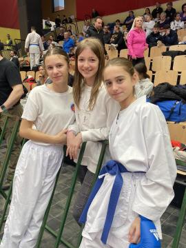 Shotokan karate klub Postojna